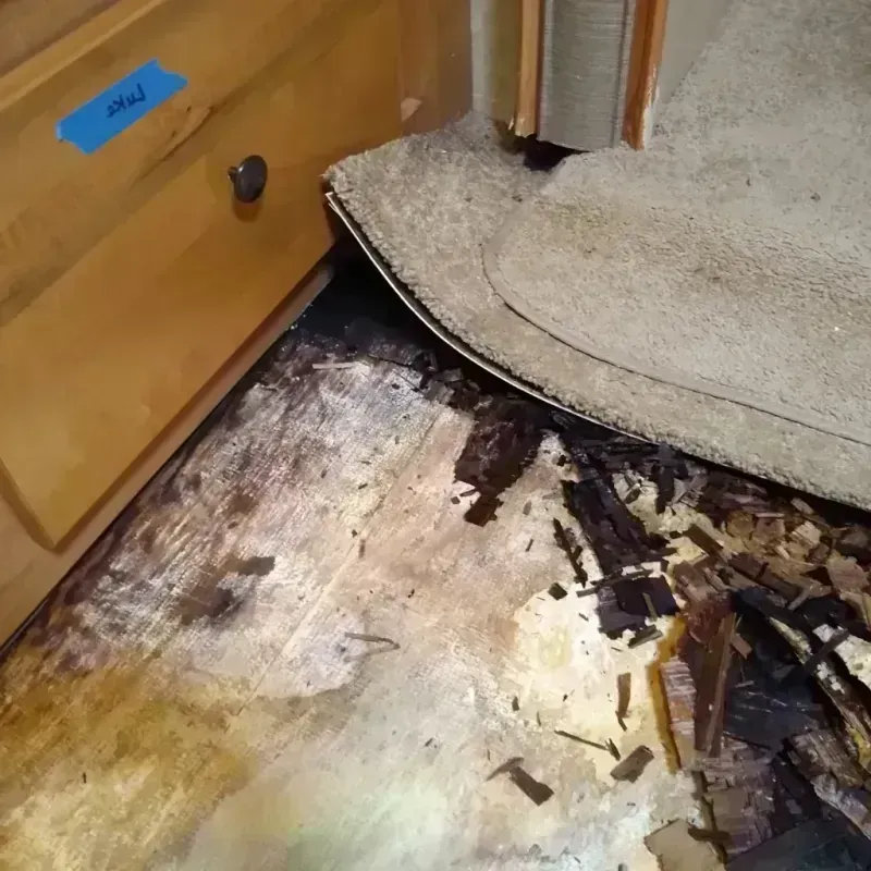 Best Wood Floor Water Damage Service in Irvine, KY